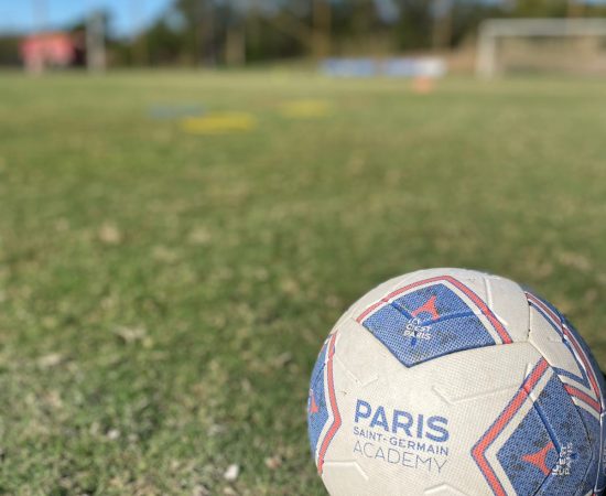 TREINO
